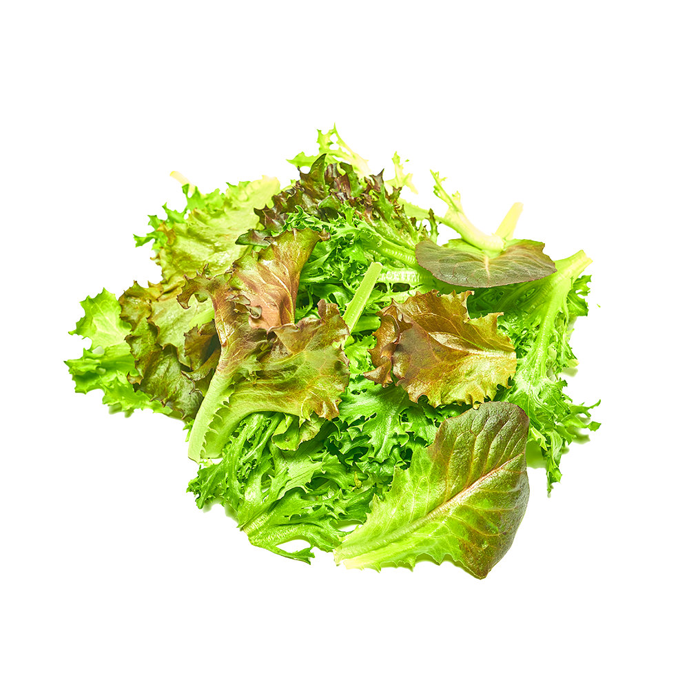 Mighty Lettuce Mix