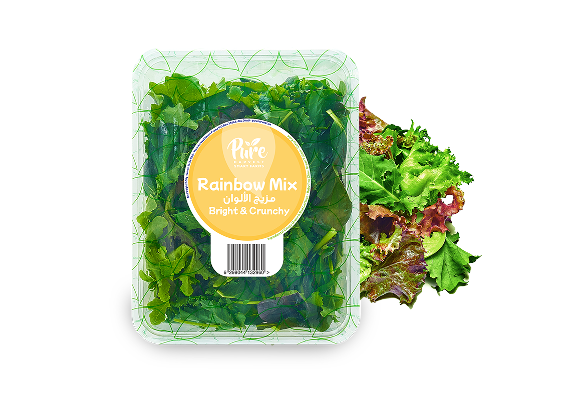 Rainbow Salad Mix