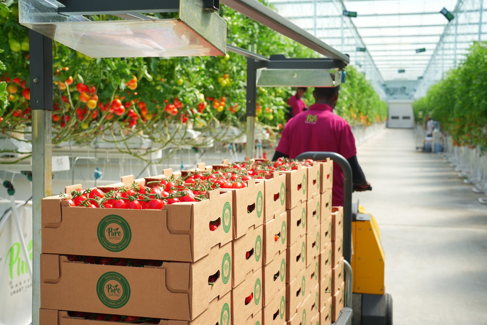 Quality produce