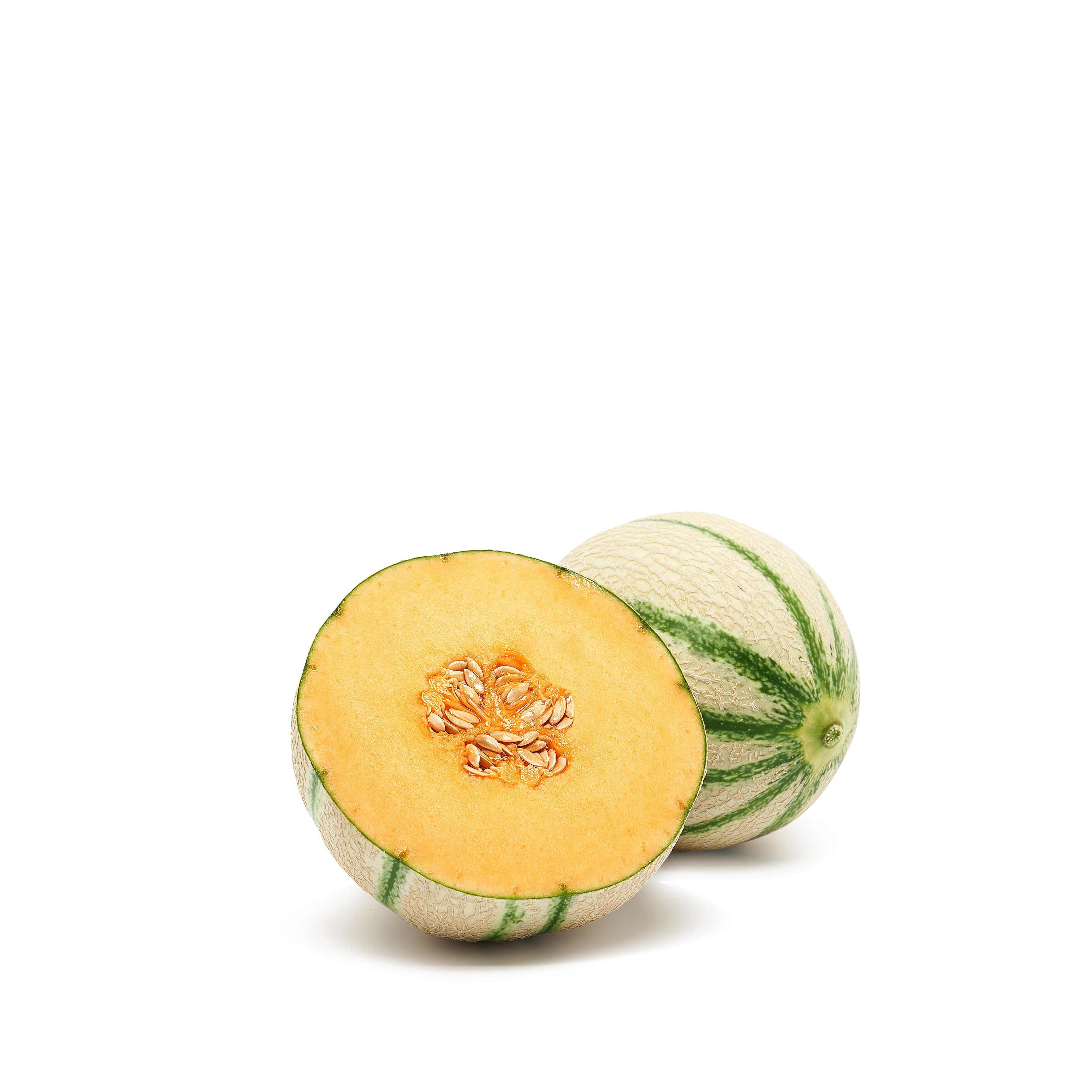 Charentais Melon