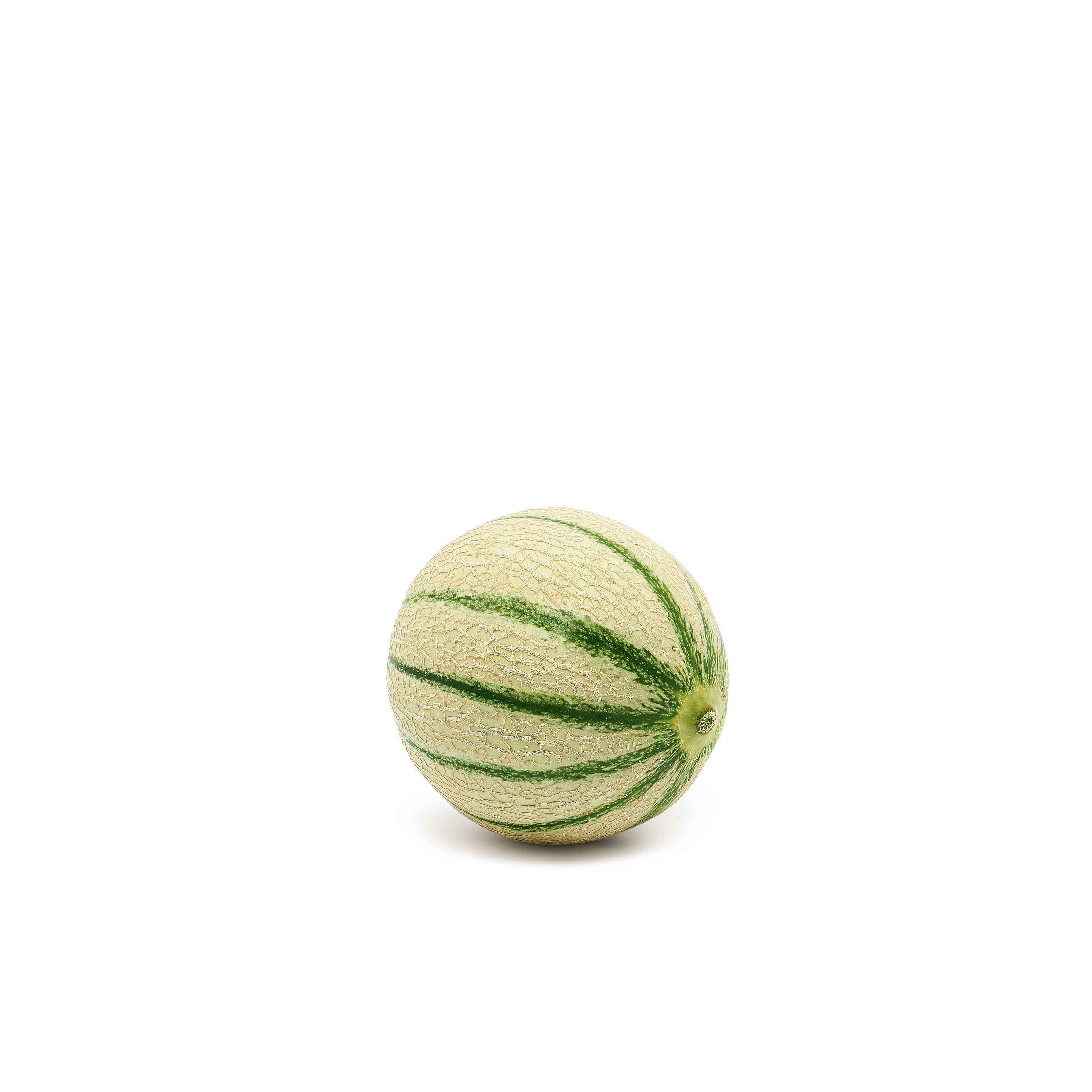 Charentais Melon